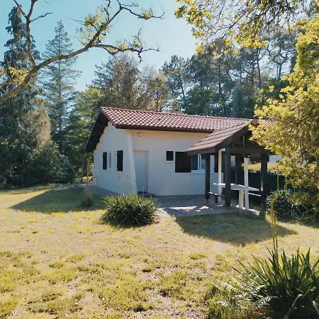 La Damiselle Apartment